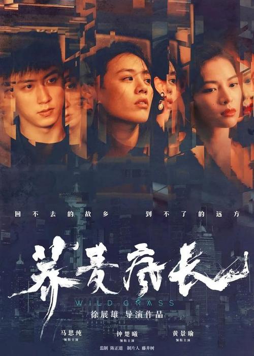 斯特拉斯堡大学学位证